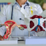 Pelvic Floor Therapy in Houston: What We Treat (Including the Things No One Talks About)